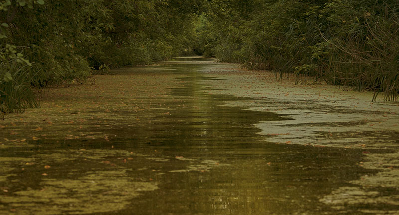 Mecklenburg Lakes to Potsdam