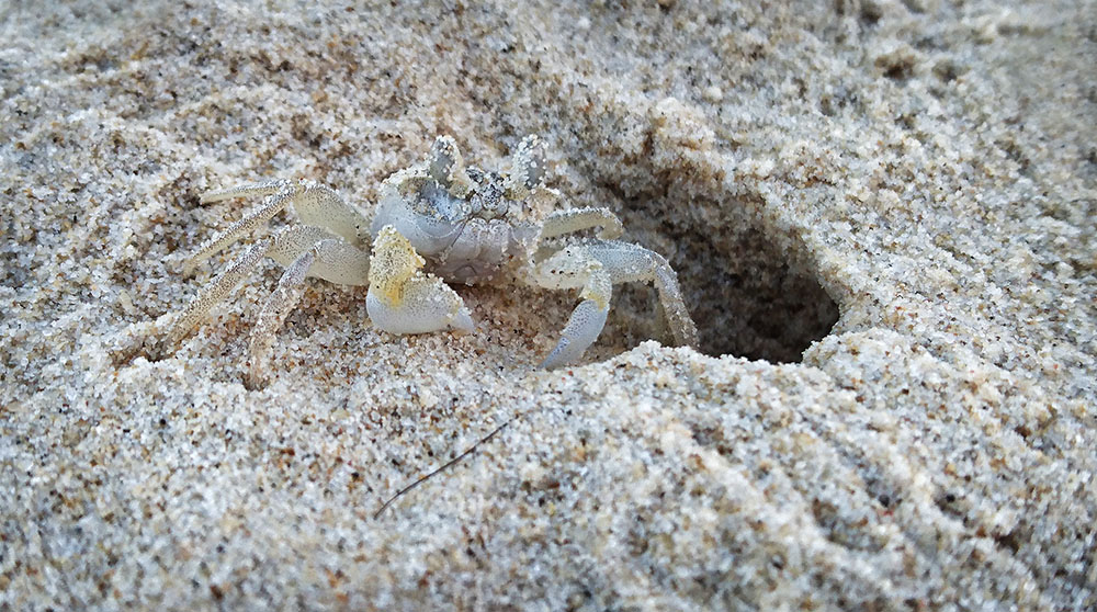 Loving Peregian Beach, Queensland