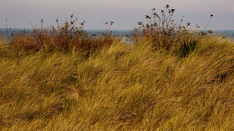 Bike Ride, Noord Beveland: Zeeland, Netherlands