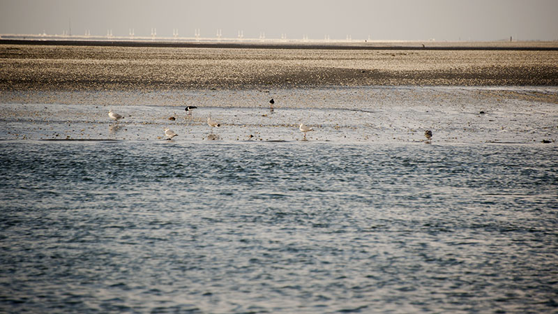 Noord Beveland, Netherlands