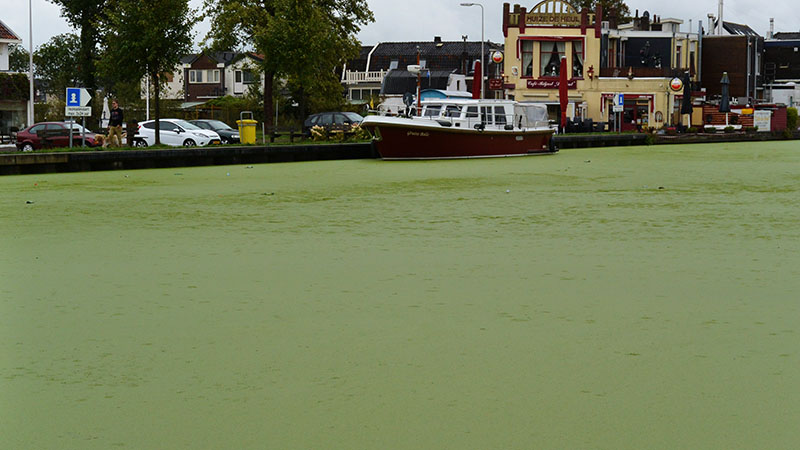 Leiden to Gouda: South Holland, Netherlands