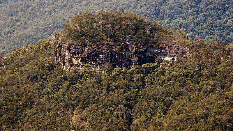 Lamington National Park, Binna Burra Section: Queensland, Australia