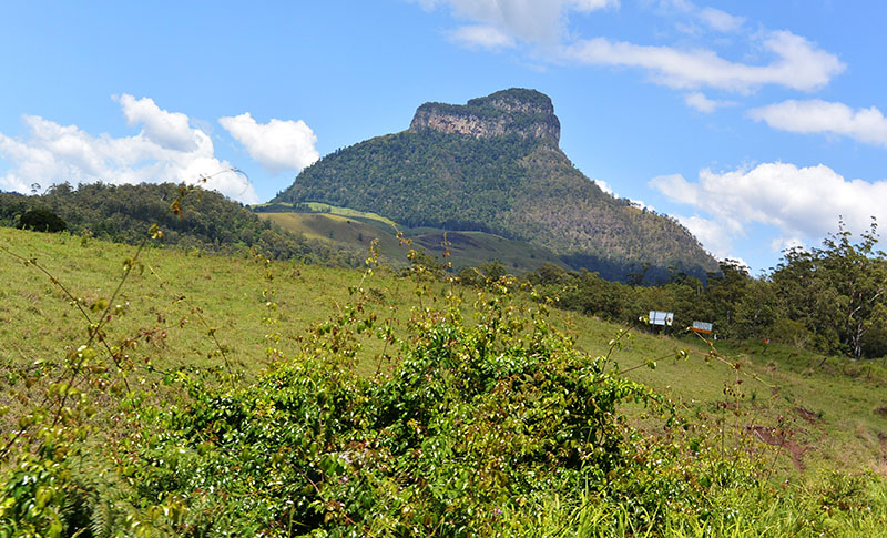 Running Creek, Queensland to Bonalbo, New South Wales: Australia