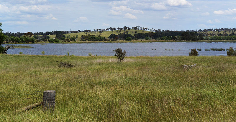 Emmaville to Walcha