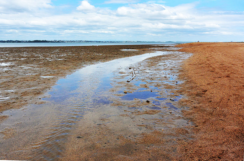 Wellington Point to King Island Walk: Queensland