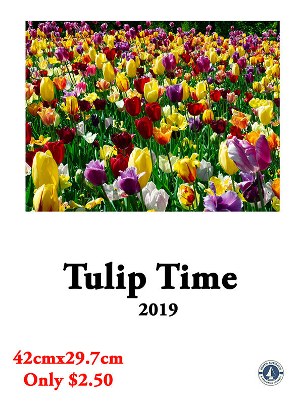 2019 Tulip Calendar Coming Soon!