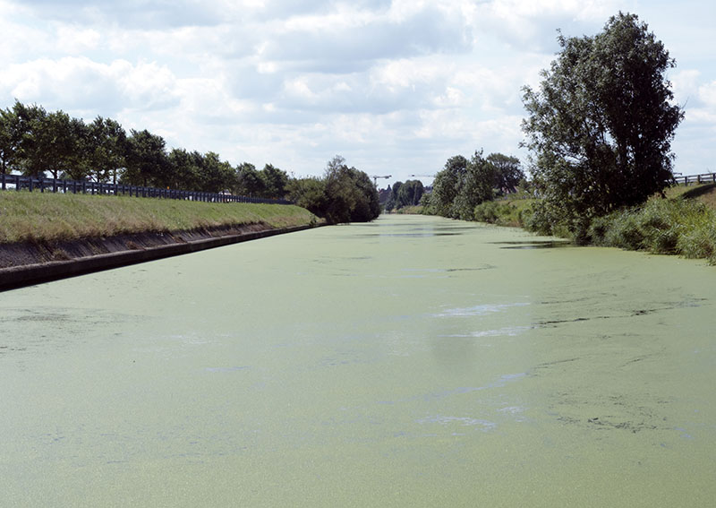 Veurne to Adinkerke, Belgium