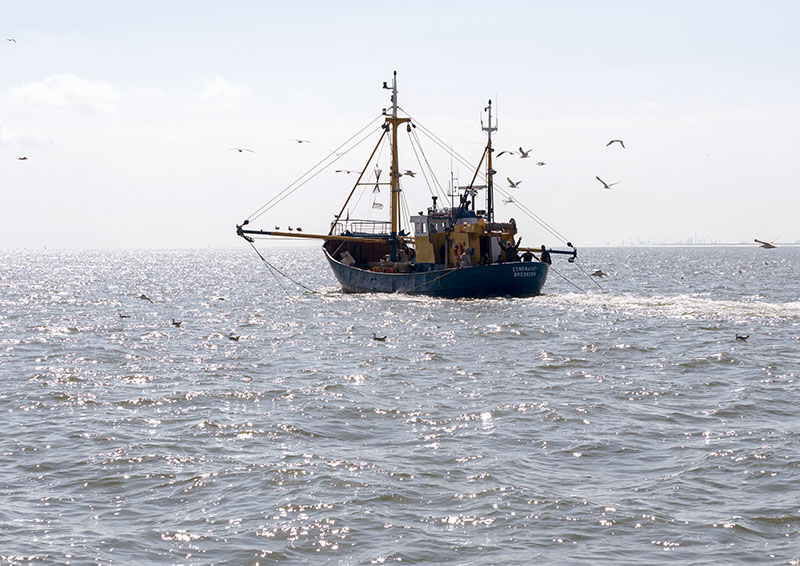 Vlissingen to Breskens, Netherlands