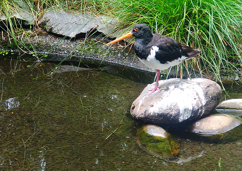 Ōtorohanga, New Zealand