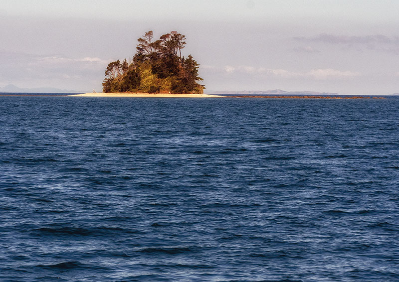 Half Moon Bay to Kawau Island, New Zealand