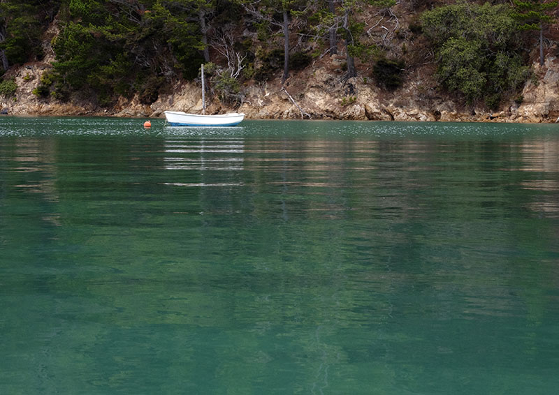 Karaka Bay, Kawau Island: New Zealand