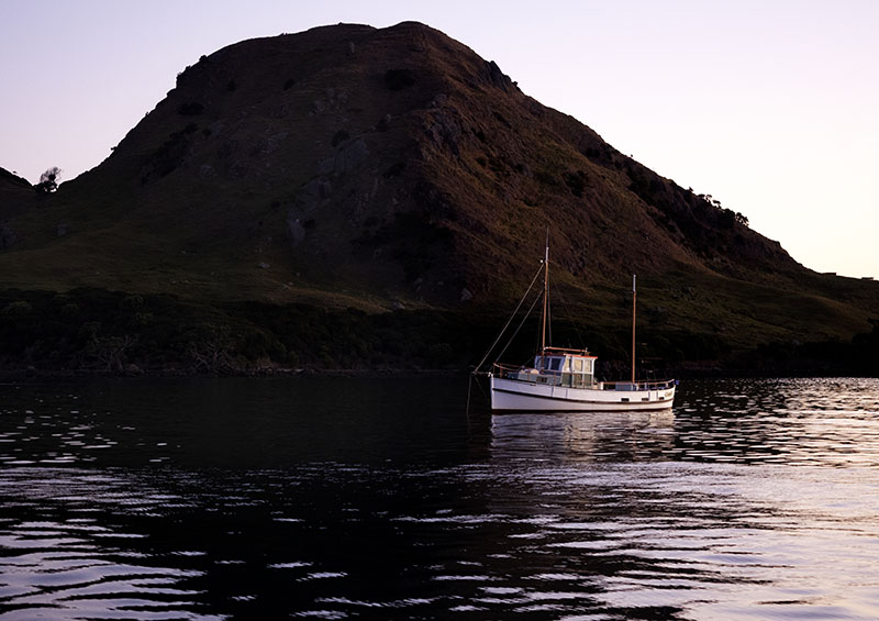 Kawau Island to Urquharts Bay, Whangarei: New Zealand