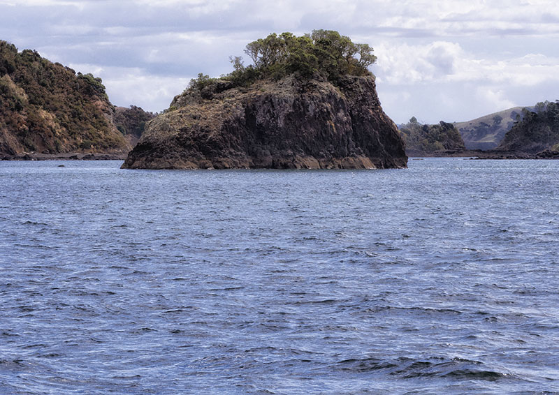 Paihia to Whale Bay: New Zealand