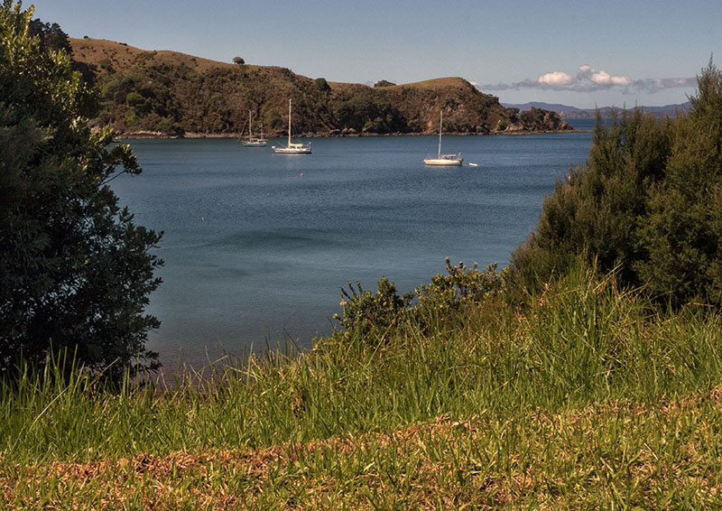 Whale Bay, New Zealand