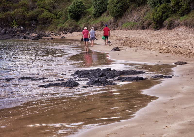 A Walk & A Dinghy Ride in Oneroa & Paroa Bays