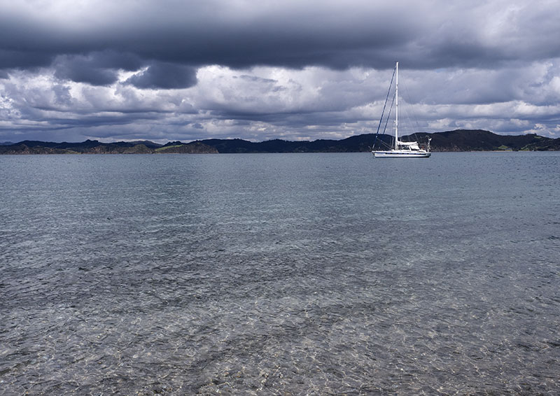 Motuarohia Island: A Wildlife Sanctuary