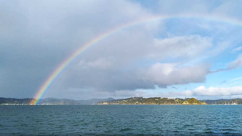 Rainbow Delight in the Bay of Islands